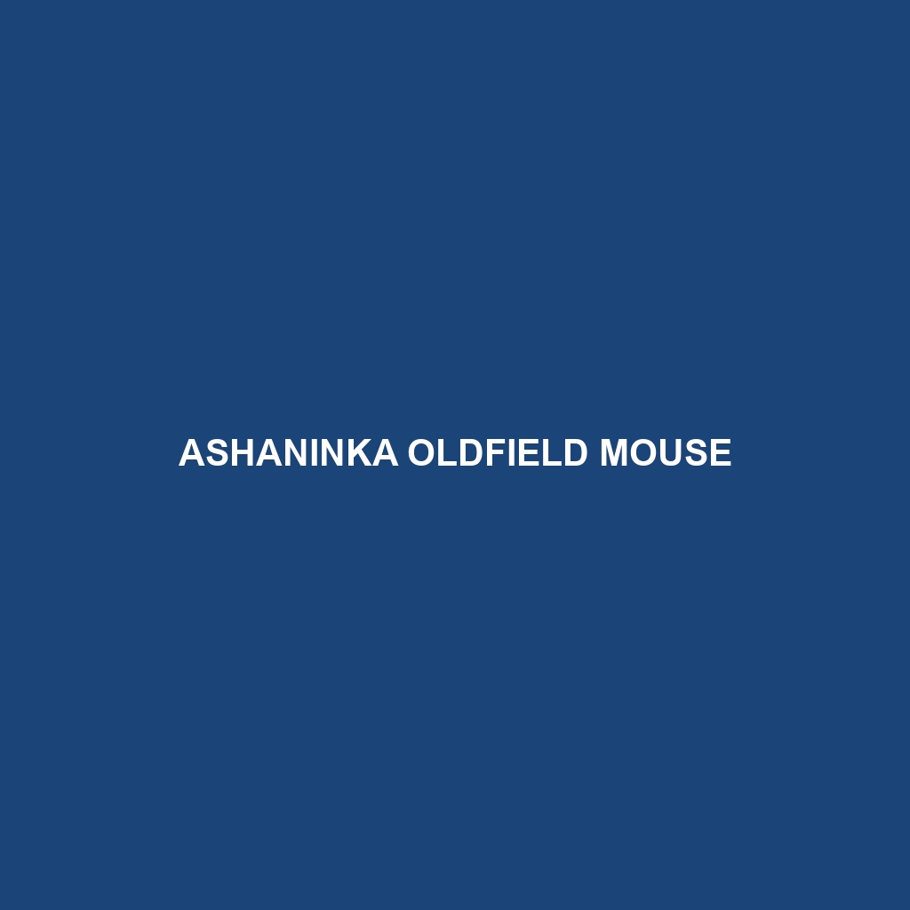 Ashaninka Oldfield Mouse