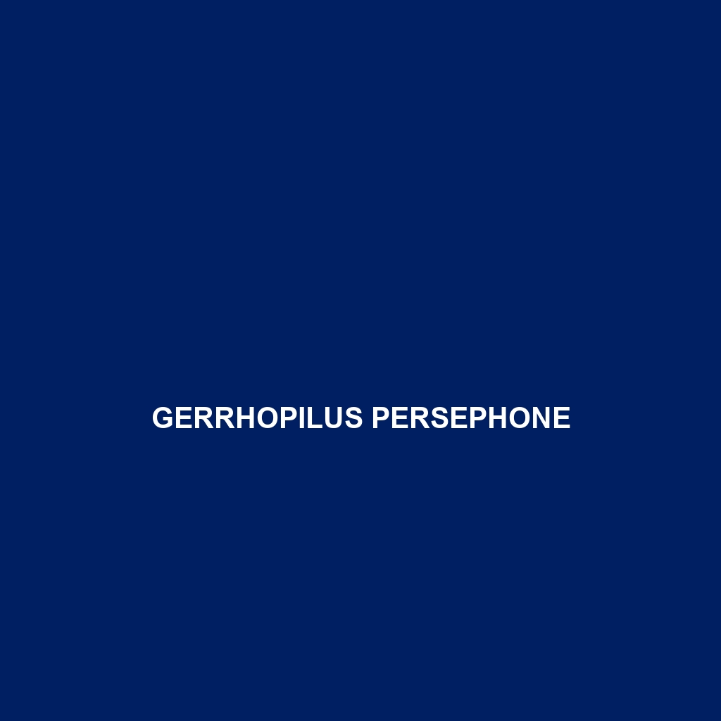 Gerrhopilus persephone