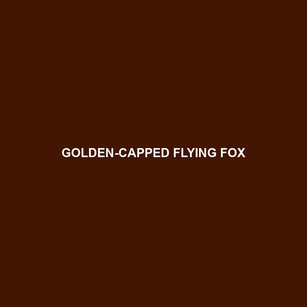 Golden-capped Flying Fox