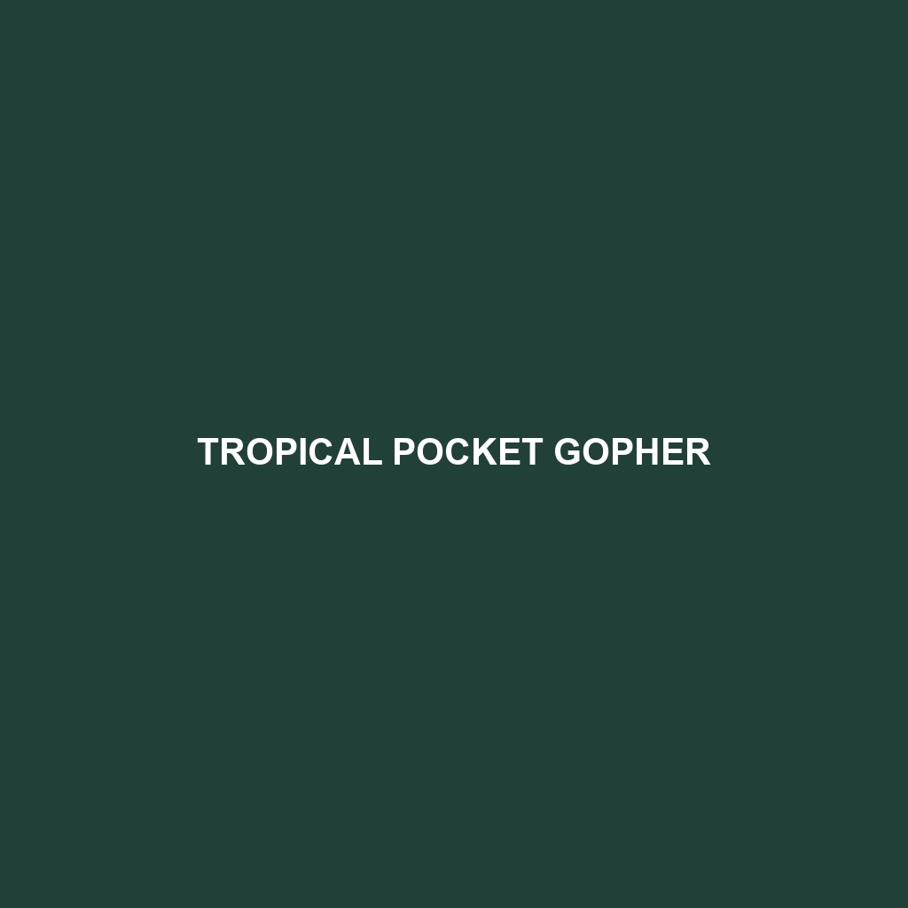 Tropical Pocket Gopher