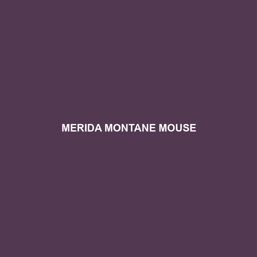 Merida Montane Mouse