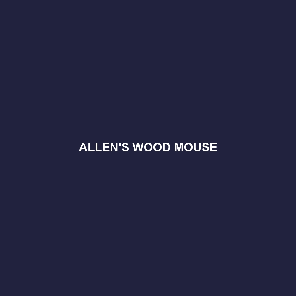 Allen's Wood Mouse