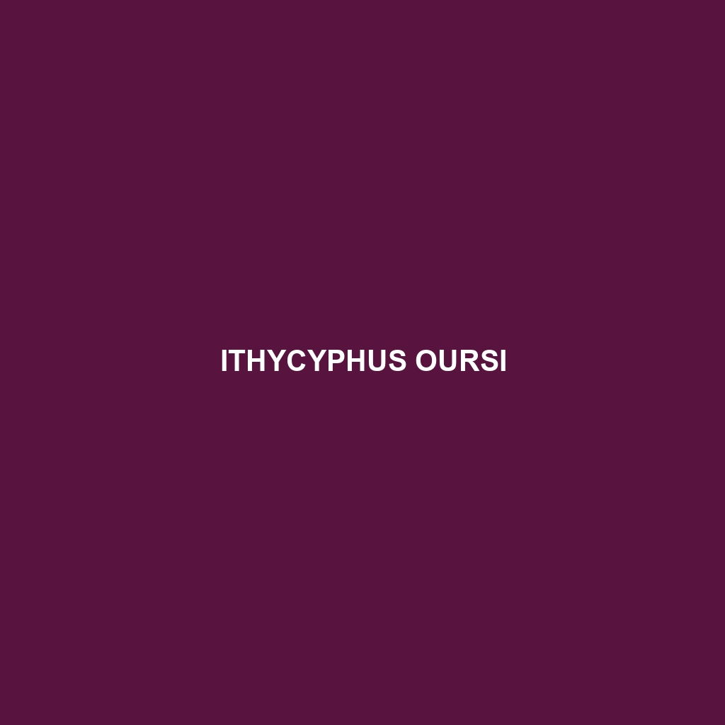 Ithycyphus oursi