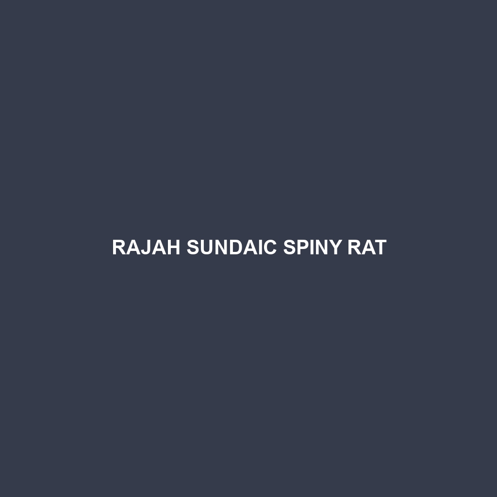 Rajah Sundaic Spiny Rat