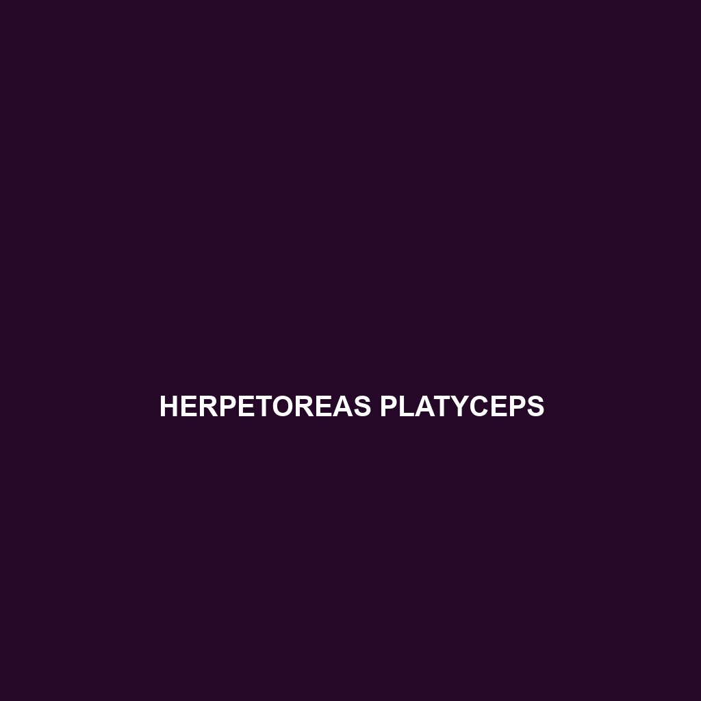 Herpetoreas platyceps