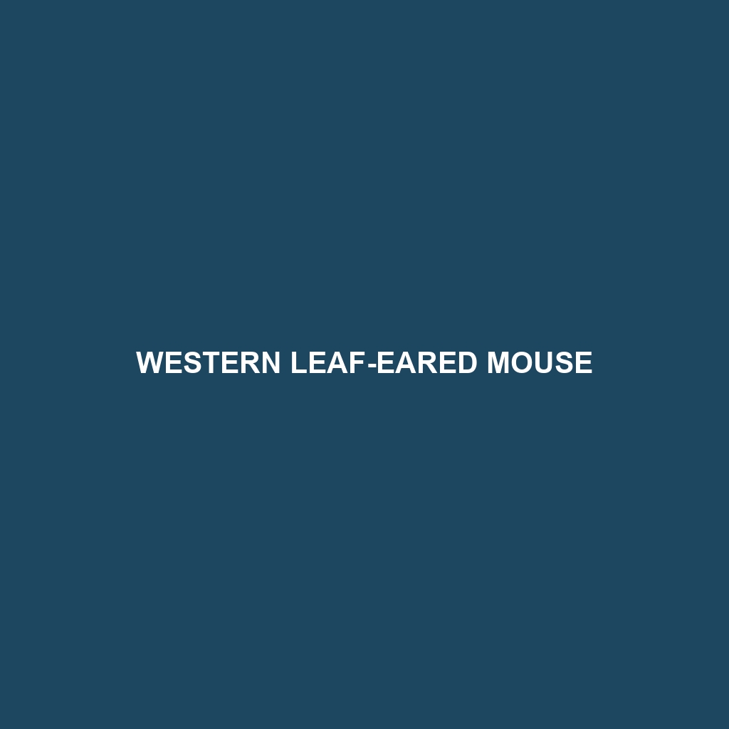 Western Leaf-eared Mouse