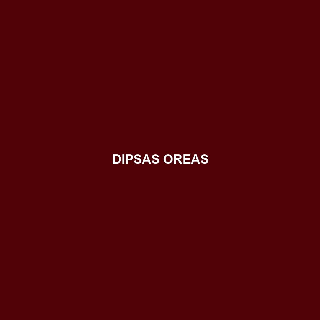 Dipsas oreas