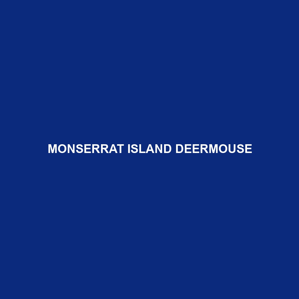 Monserrat Island Deermouse