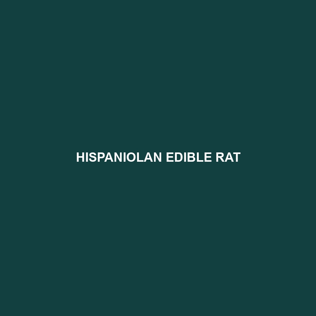 Hispaniolan Edible Rat