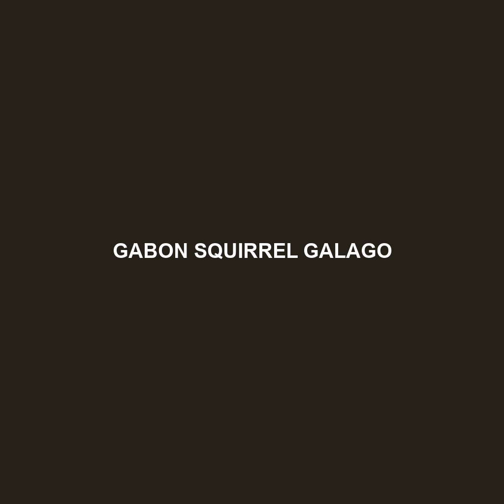 Gabon Squirrel Galago