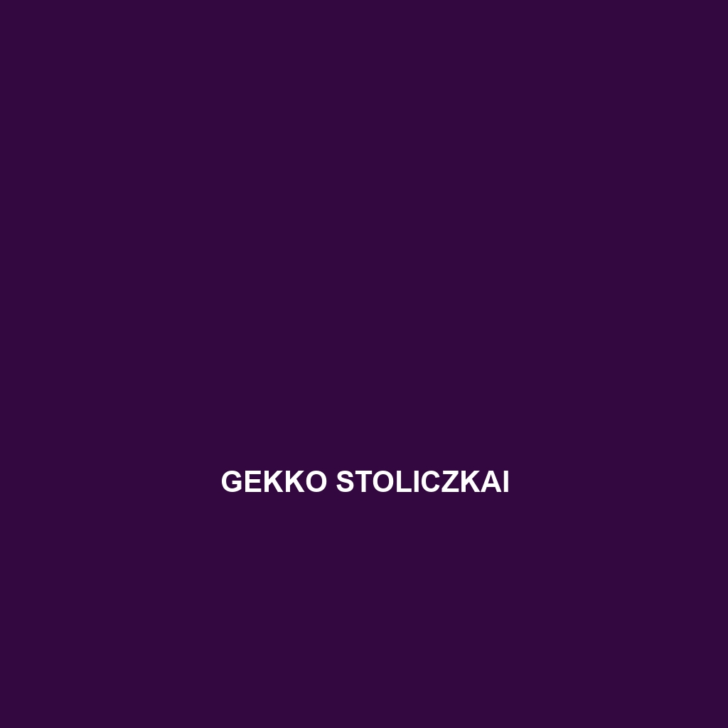 Gekko stoliczkai