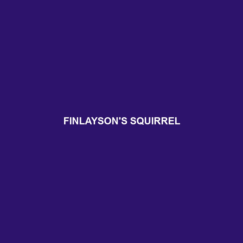 Finlayson's Squirrel