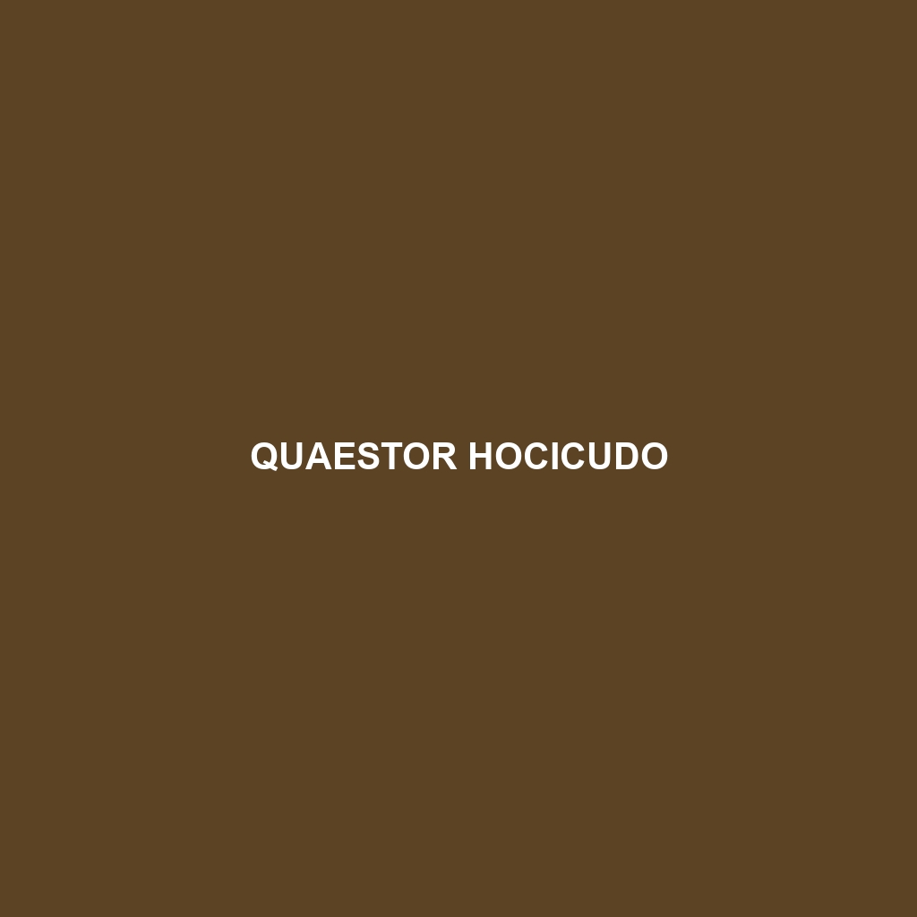 Quaestor Hocicudo