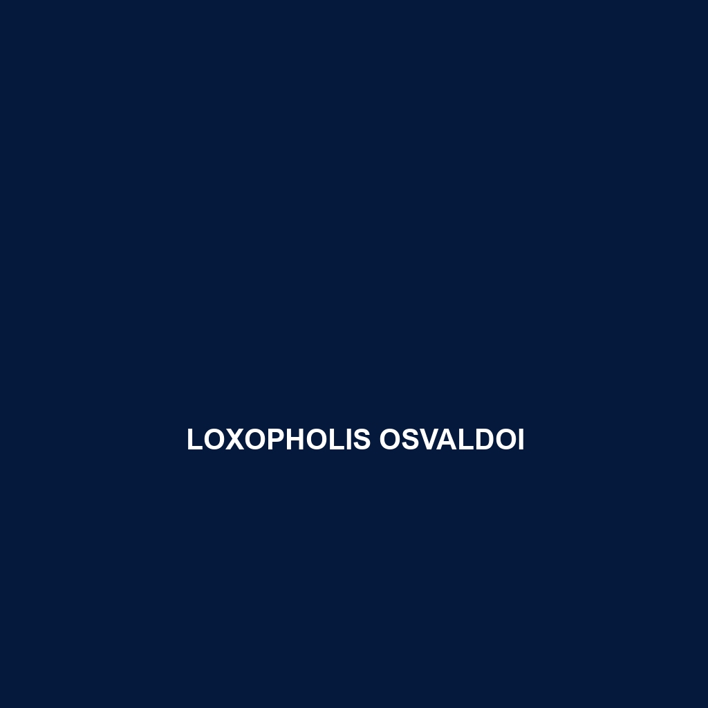 Loxopholis osvaldoi