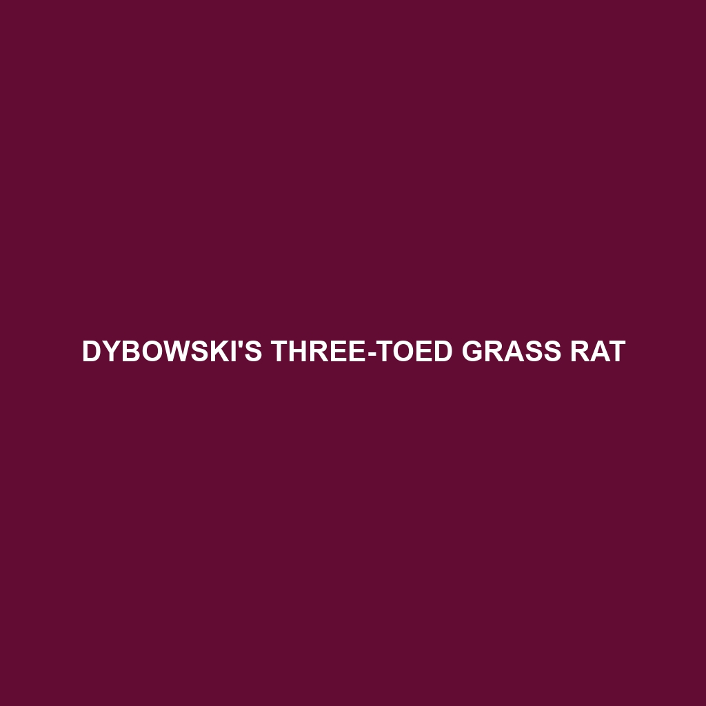 Dybowski's Three-toed Grass Rat