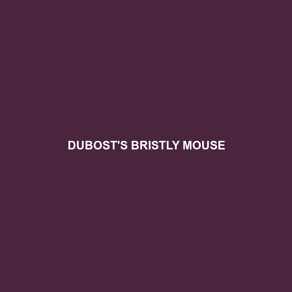 Dubost's Bristly Mouse