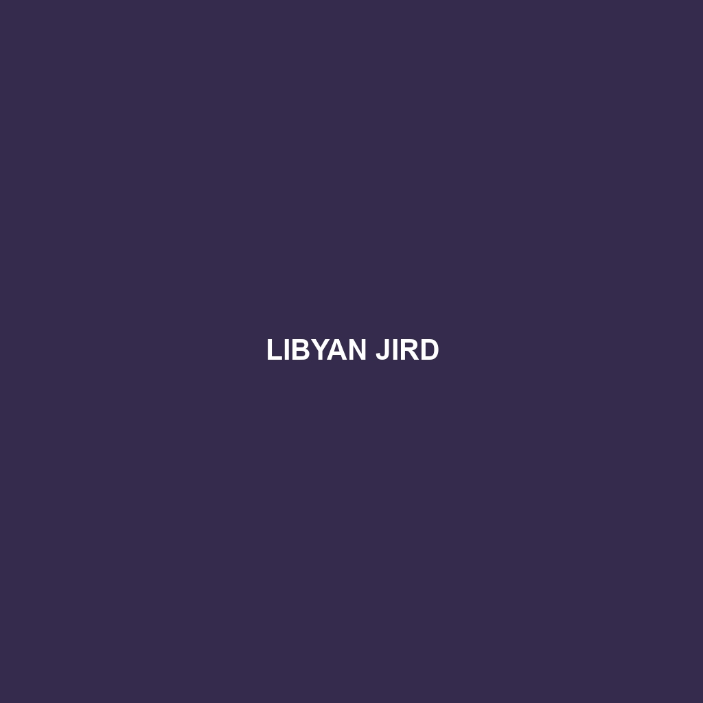 Libyan Jird