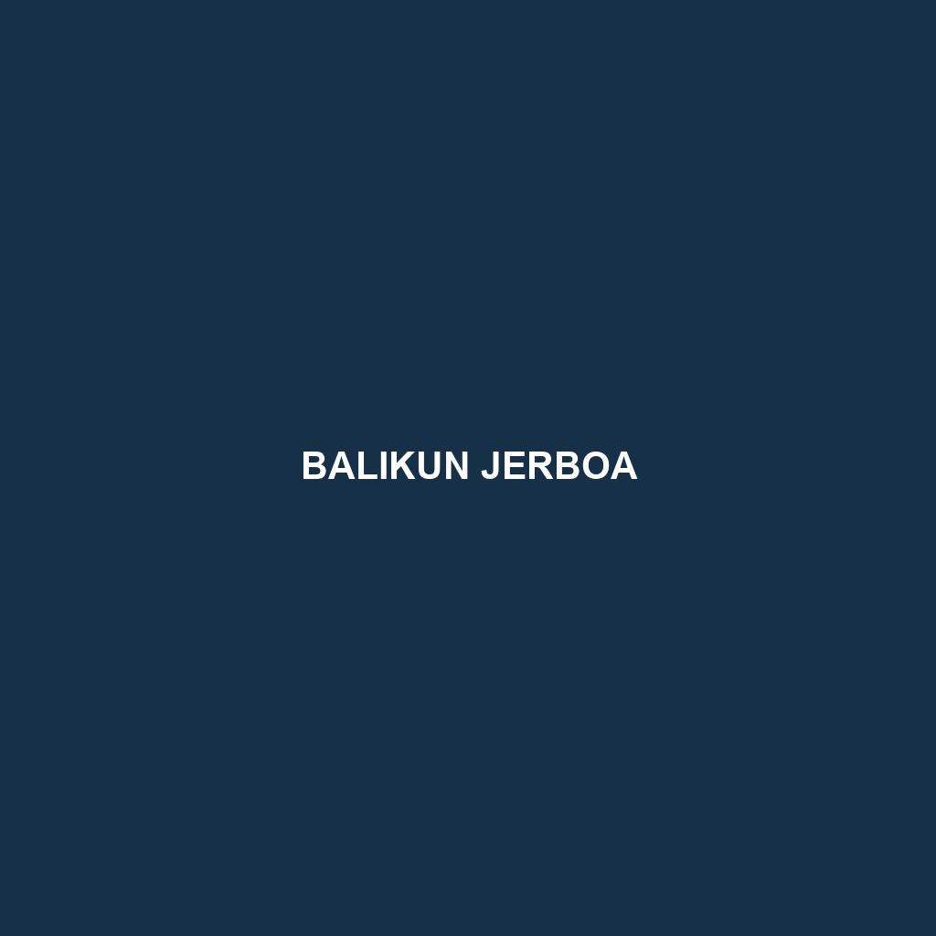 Balikun Jerboa