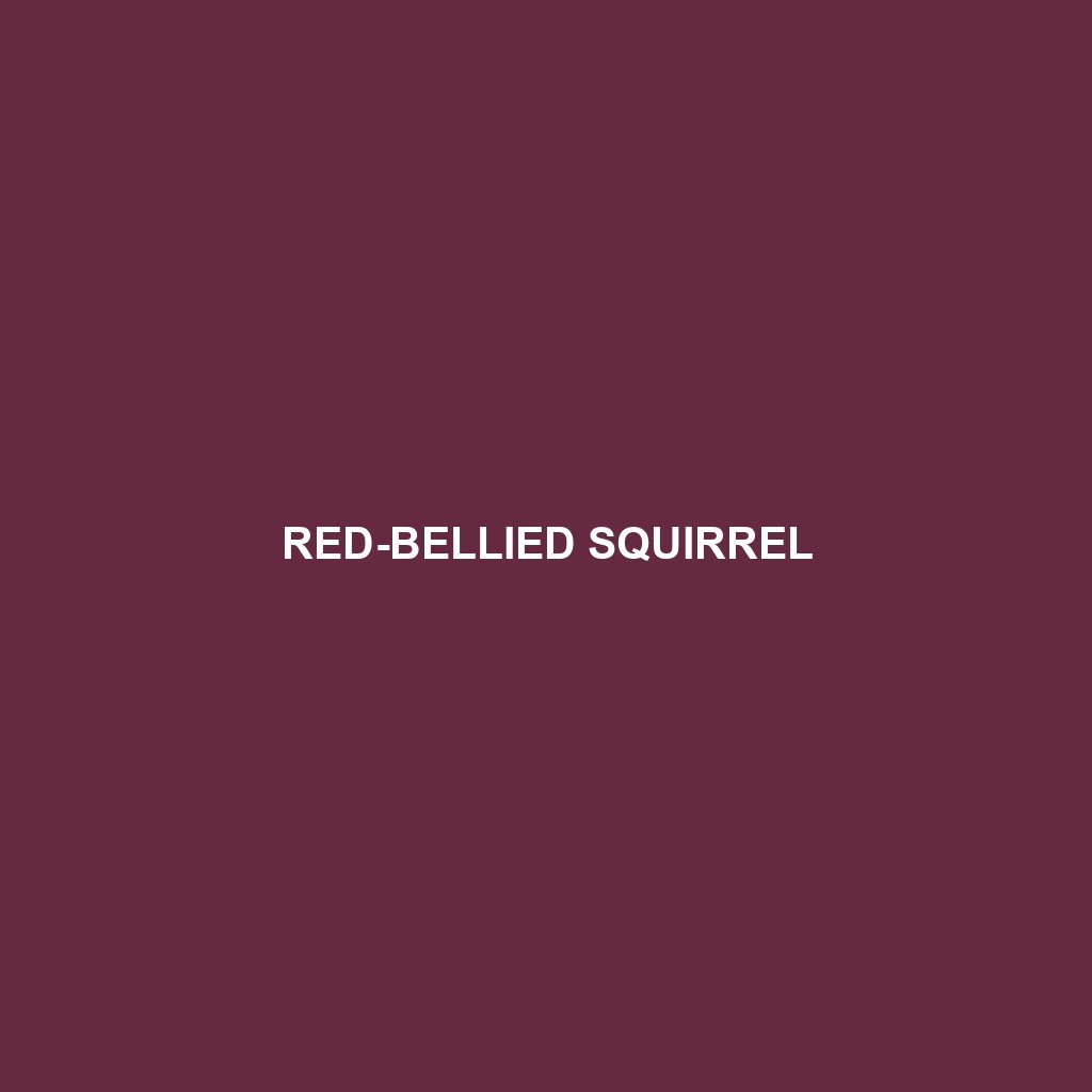 Red-bellied Squirrel