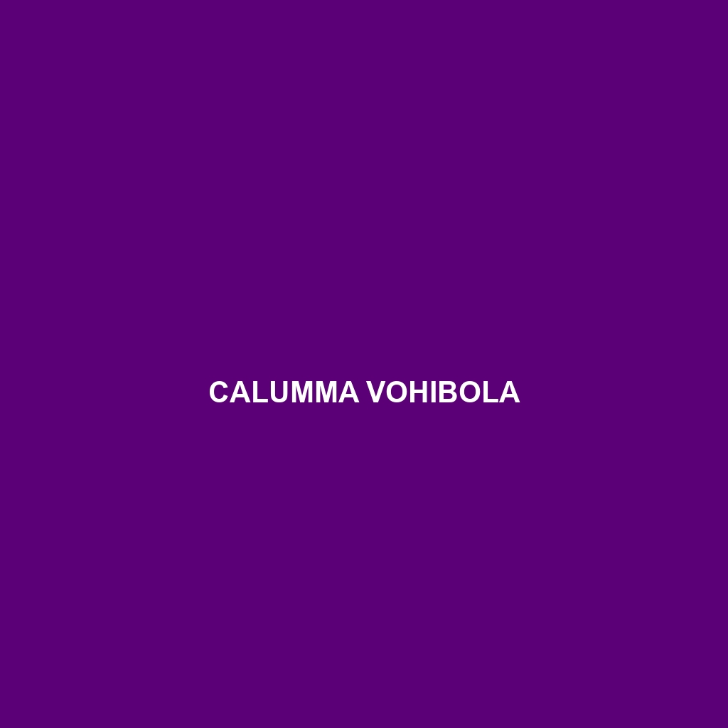 Calumma vohibola