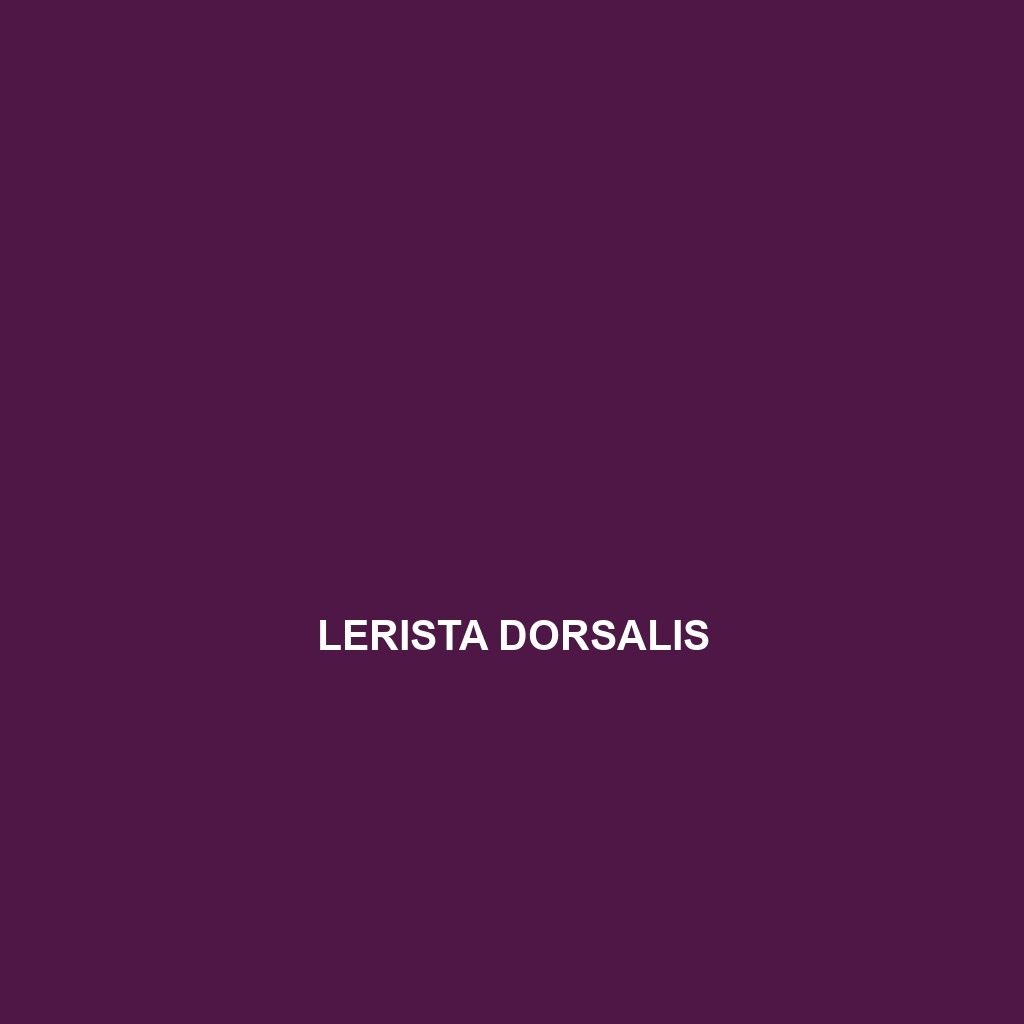 Lerista dorsalis