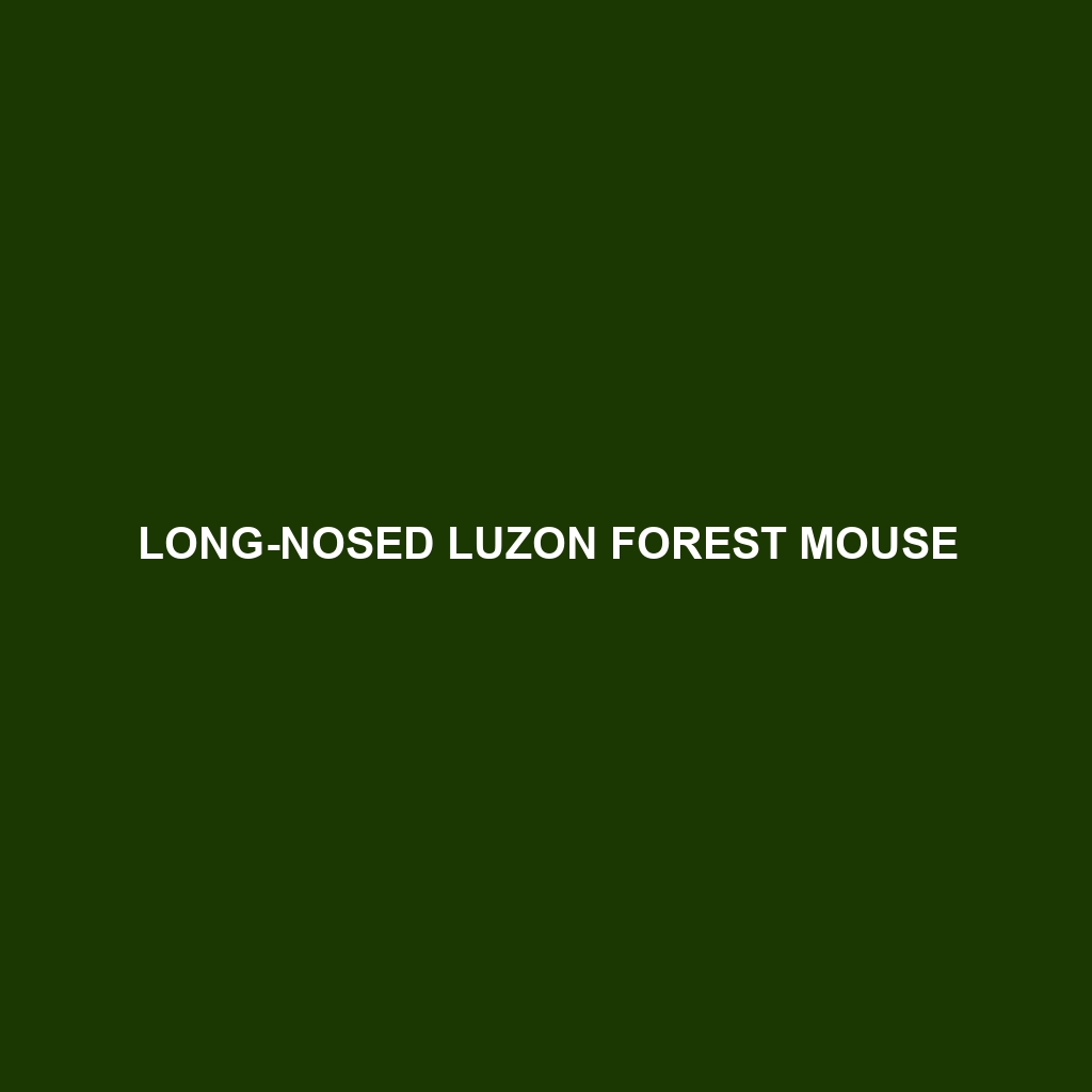 Long-nosed Luzon Forest Mouse