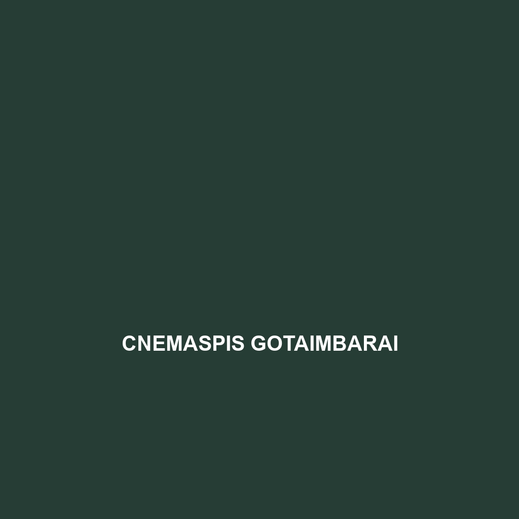 Cnemaspis gotaimbarai