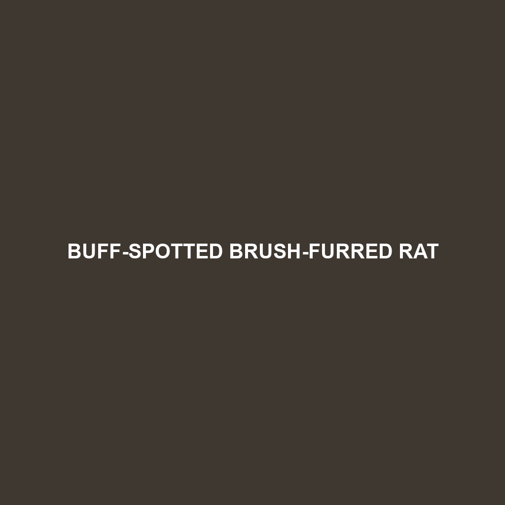 Buff-spotted Brush-furred Rat