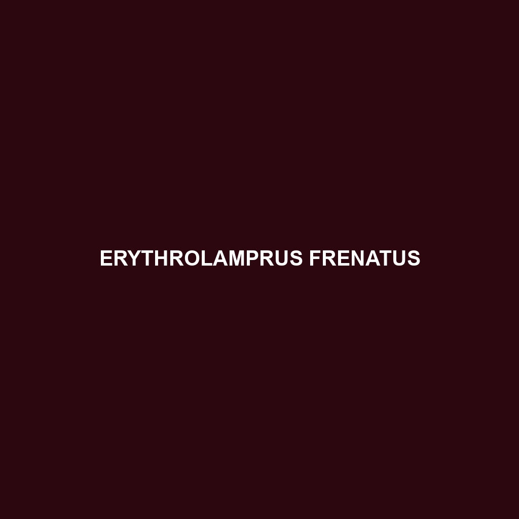 Erythrolamprus frenatus