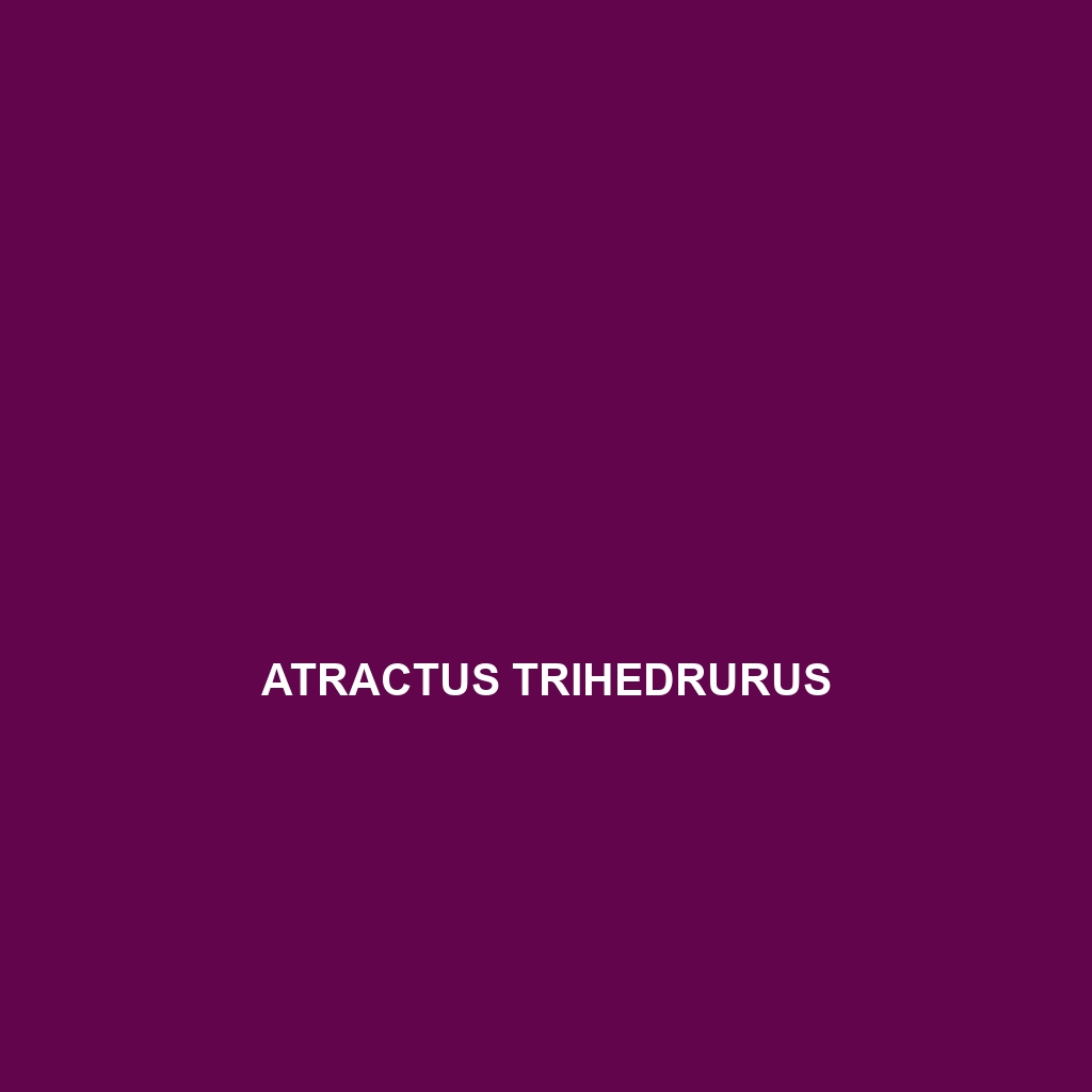 Atractus trihedrurus