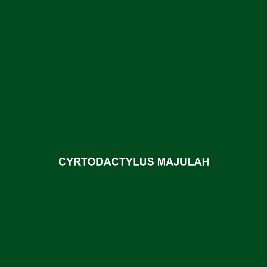 Cyrtodactylus maelanoi