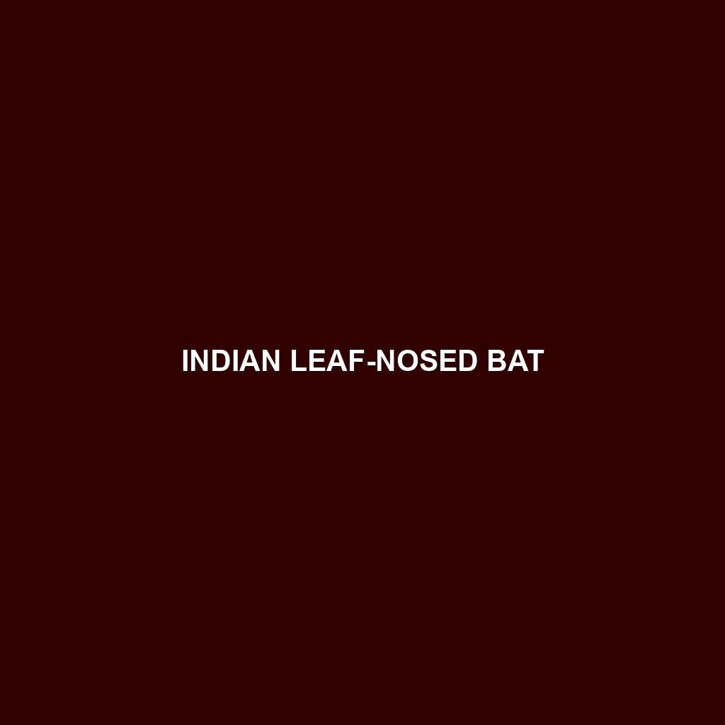 Indian Leaf-nosed Bat