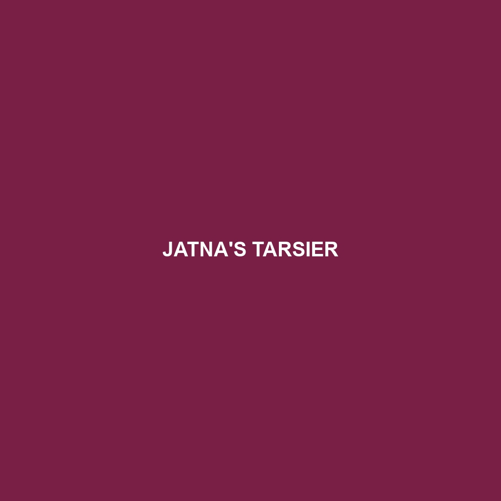 Jatna's Tarsier