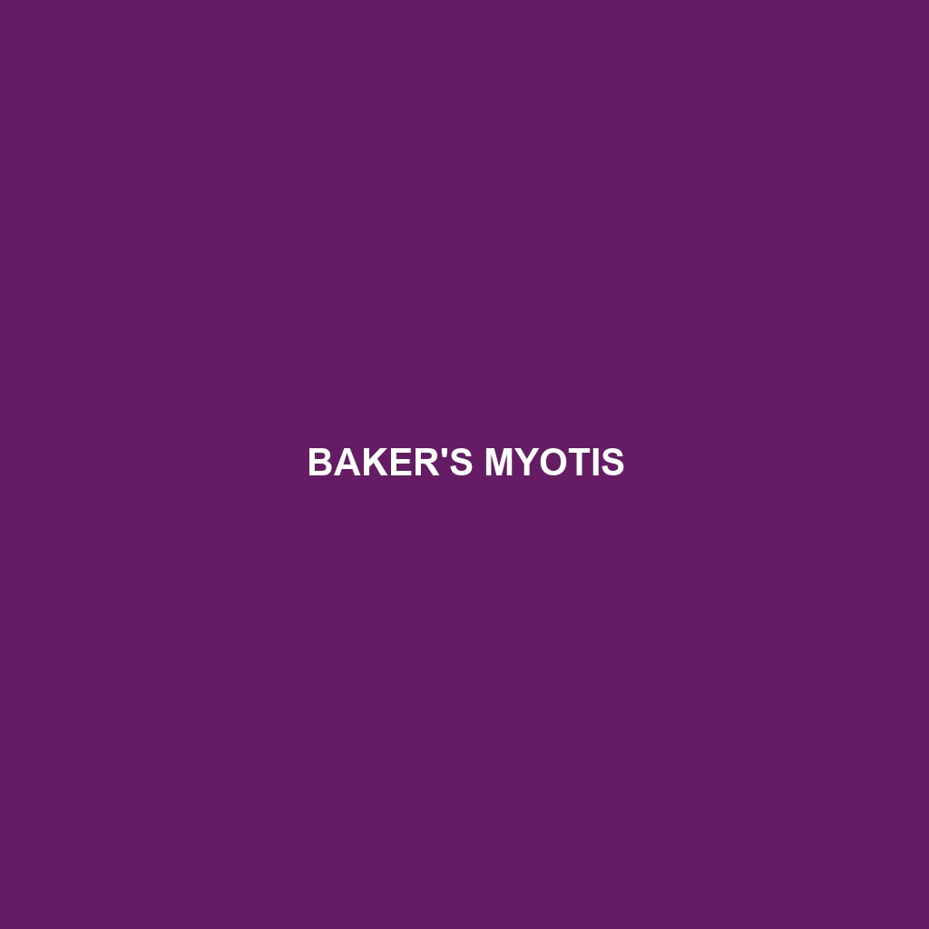 Baker's Myotis