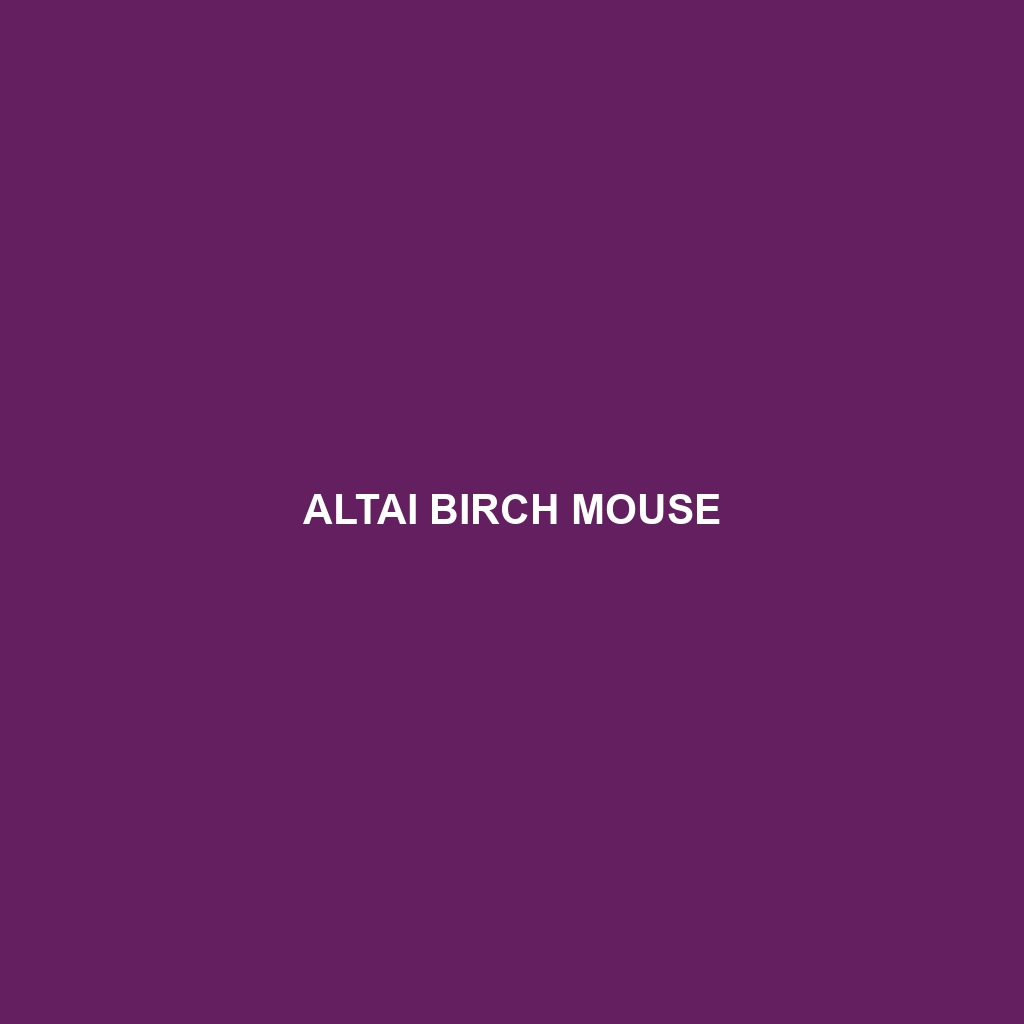 Altai Birch Mouse