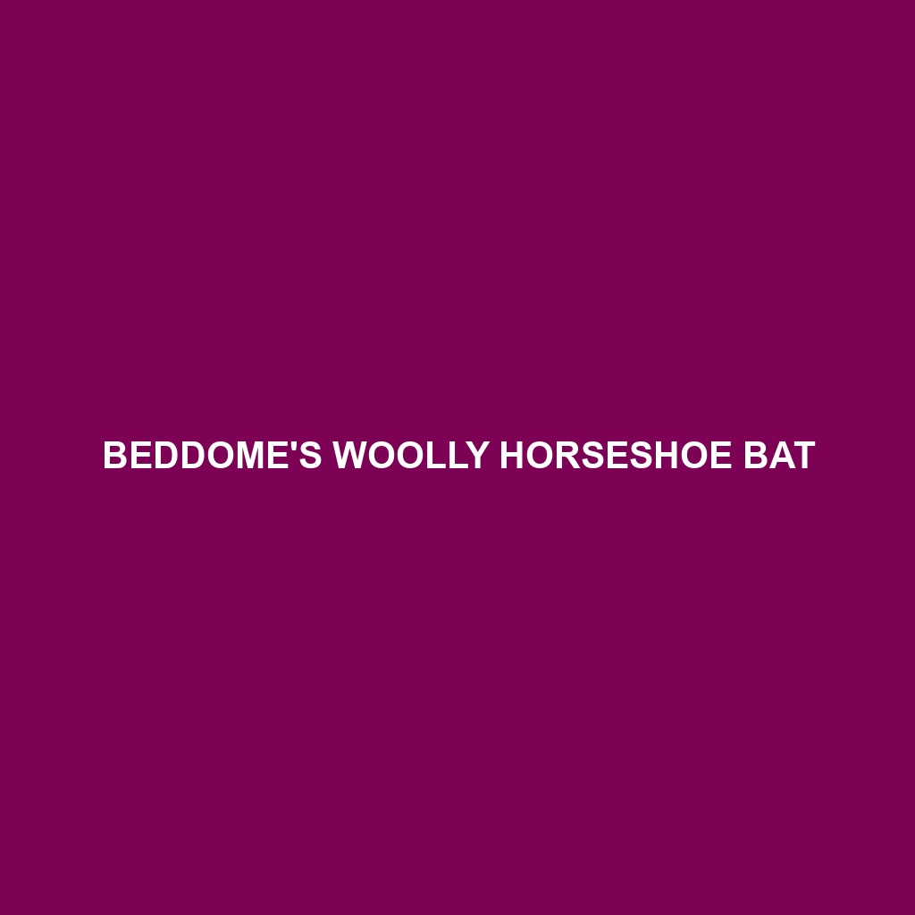 Beddome's Woolly Horseshoe Bat