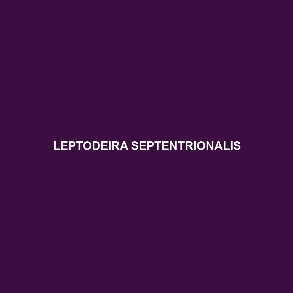 Leptodeira septentrionalis