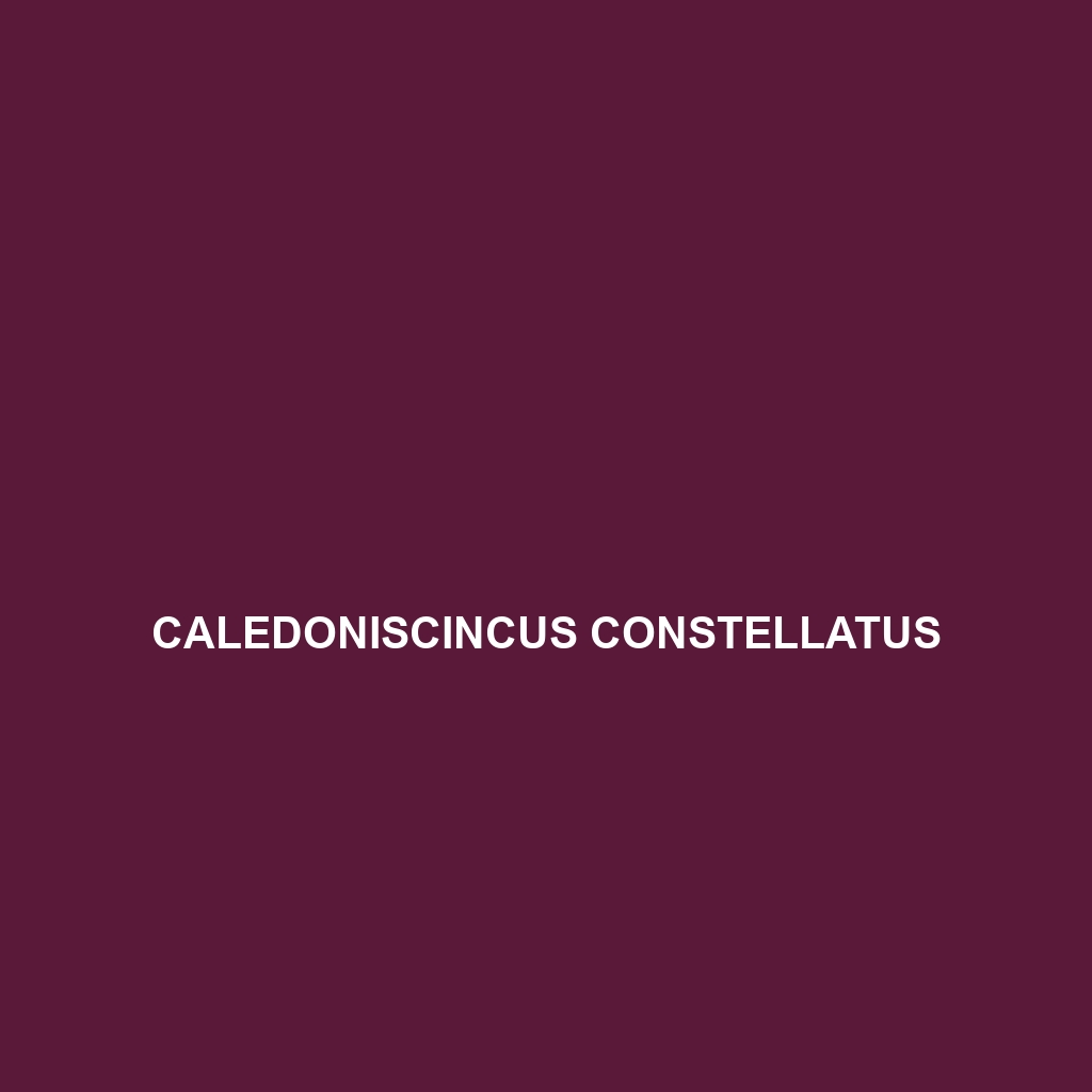 Caledoniscincus constellatus