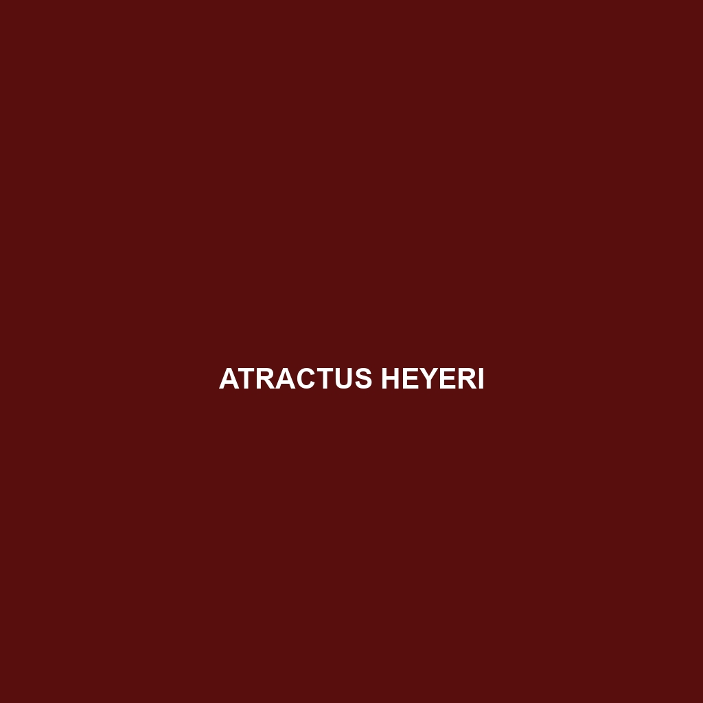 Atractus heyeri