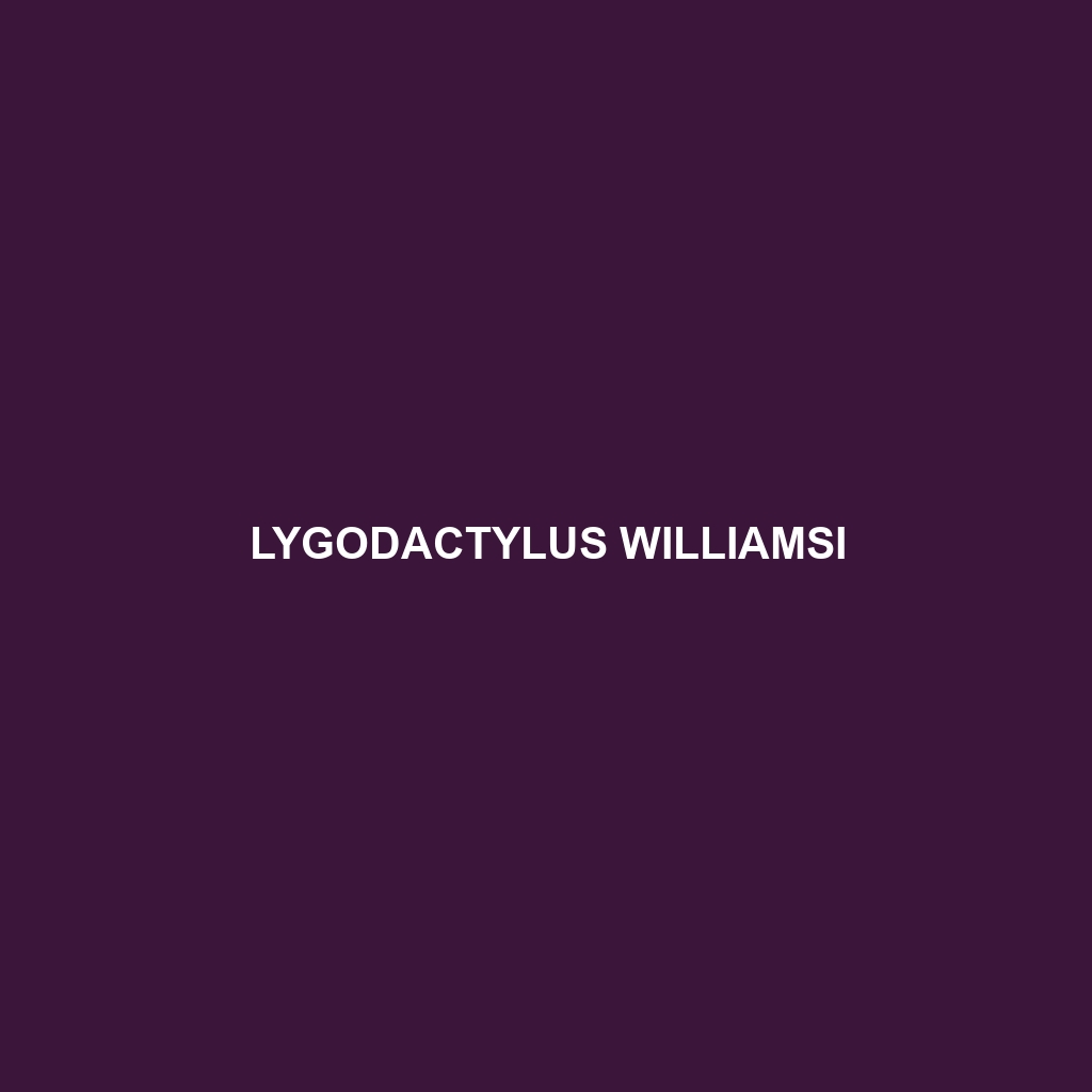 Lygodactylus williamsi