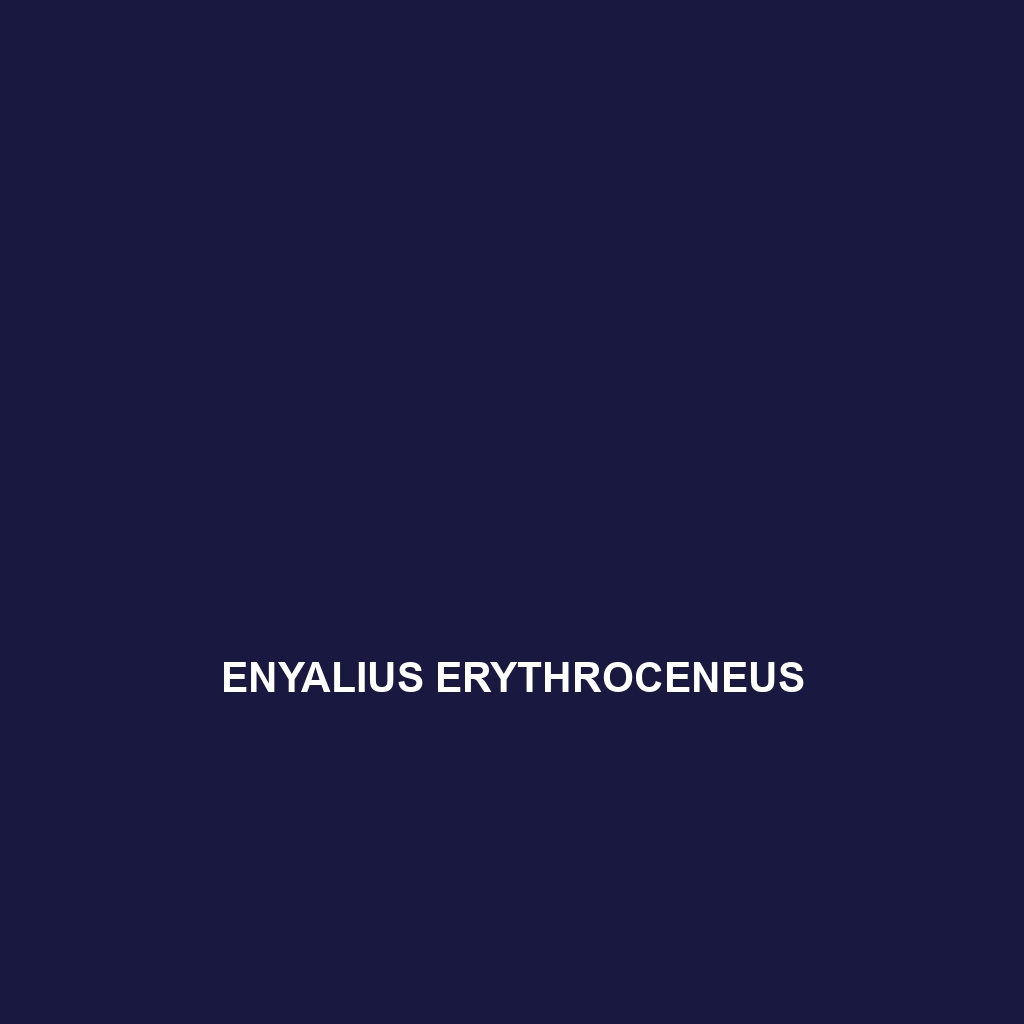 Enyalius erythroceneus