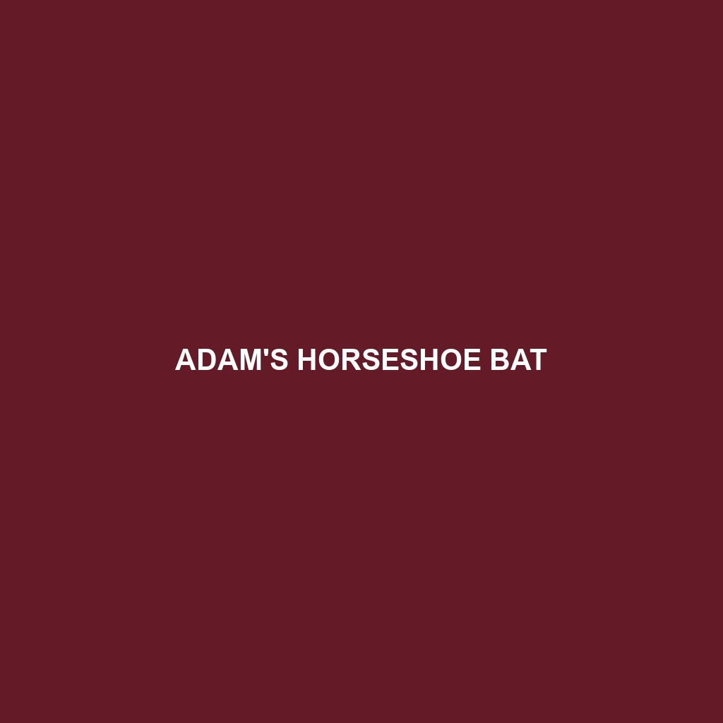 Adam's Horseshoe Bat