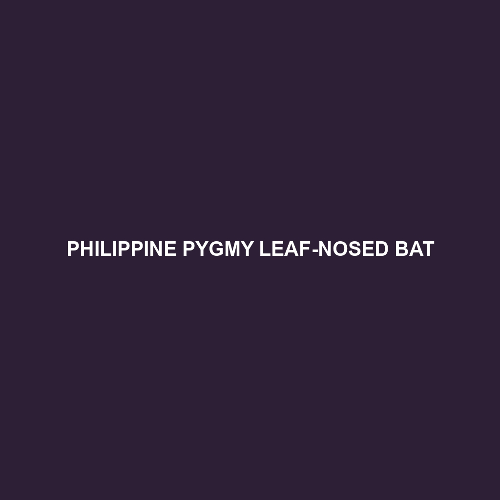 Philippine Pygmy Leaf-nosed Bat