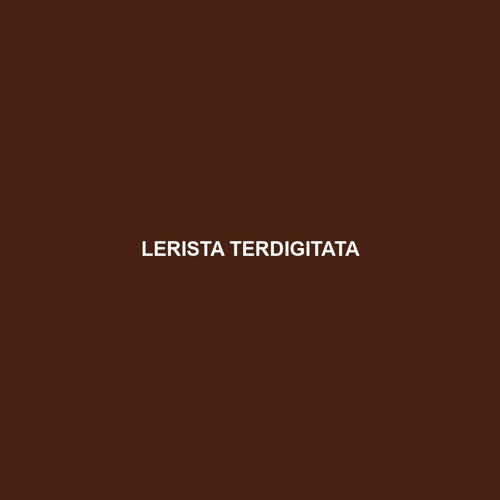 Lerista terdigitata