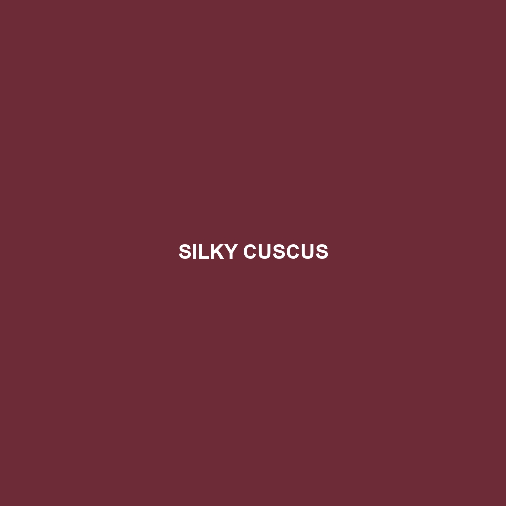 Silky Cuscus