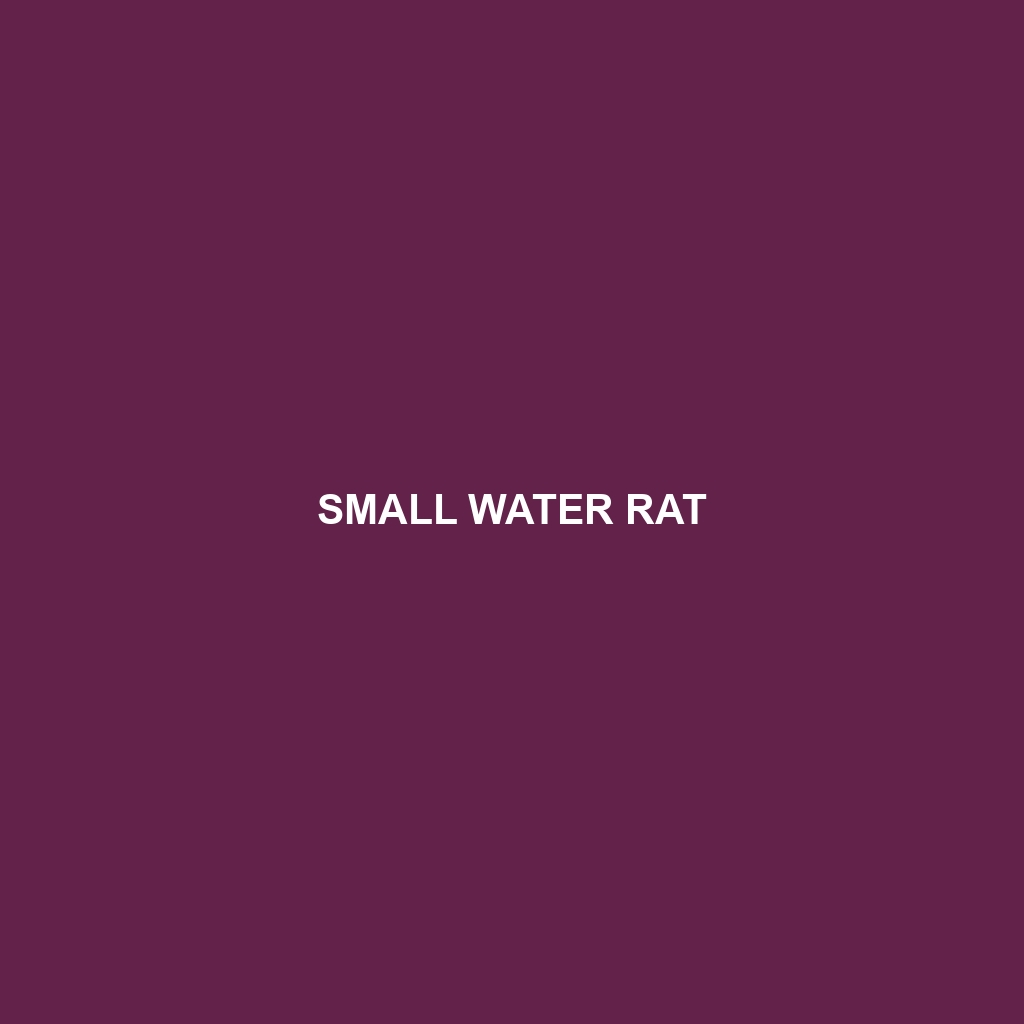 Small Water Rat