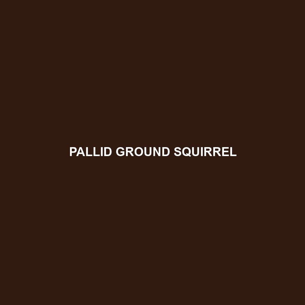 Pallid Ground Squirrel