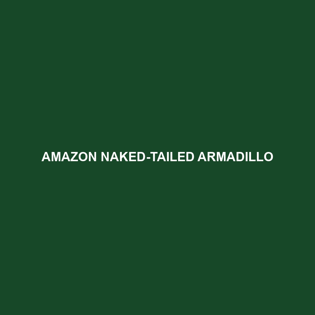 Amazon Naked-tailed Armadillo