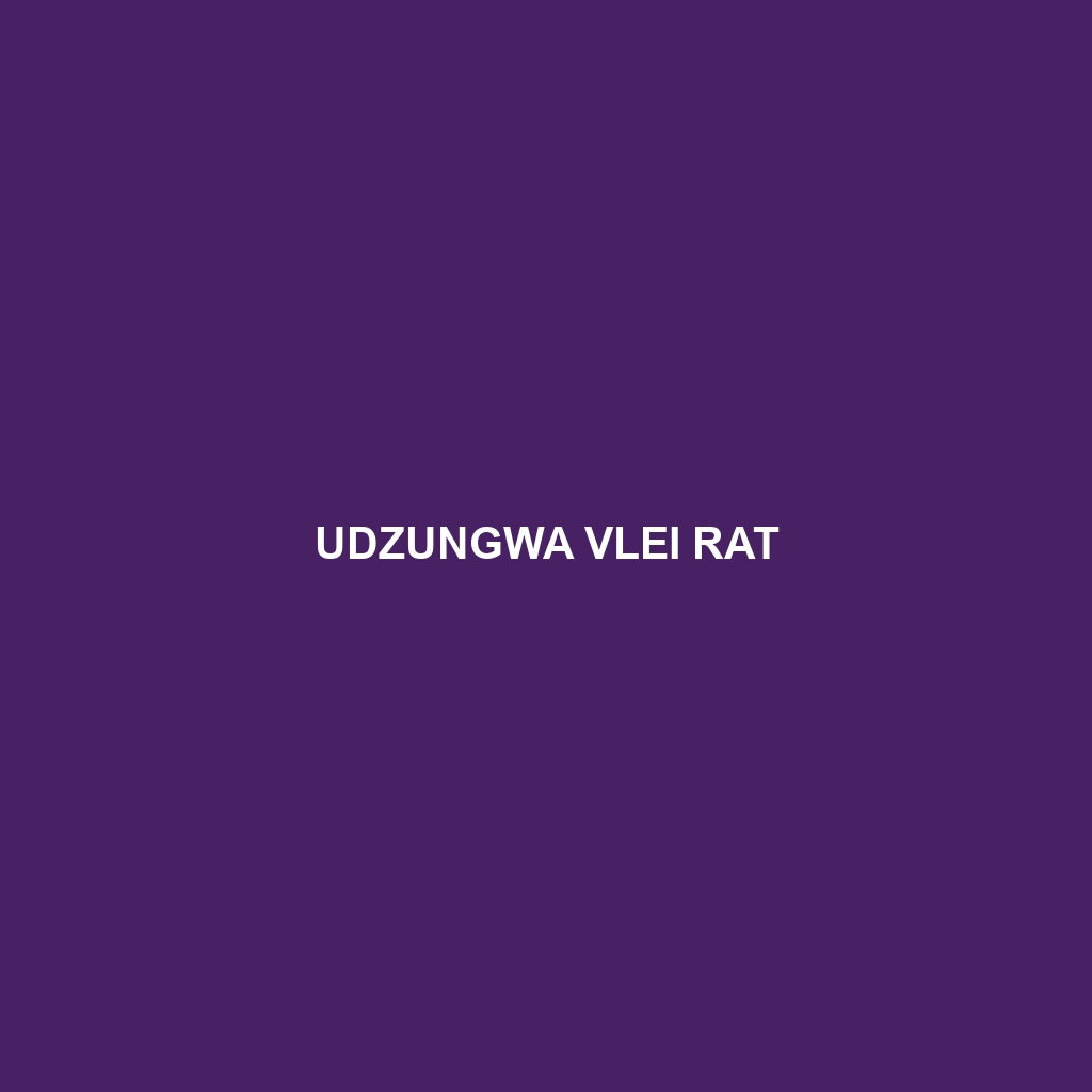 Udzungwa Vlei Rat