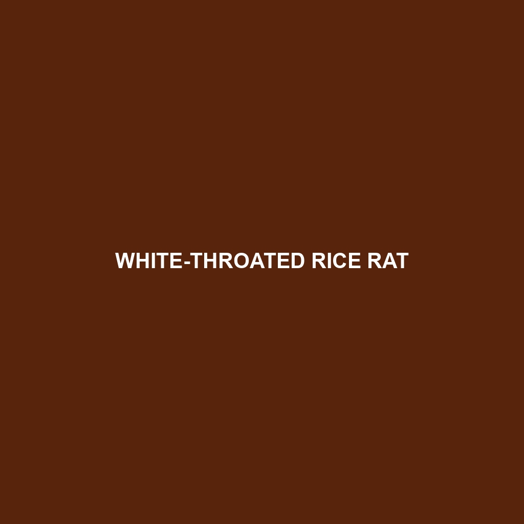 White-throated Rice Rat